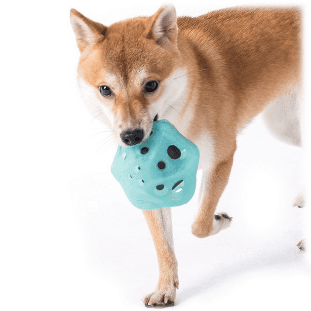 Внешний вид игрушки для собак Xiaomi Jordan Judy PE031 